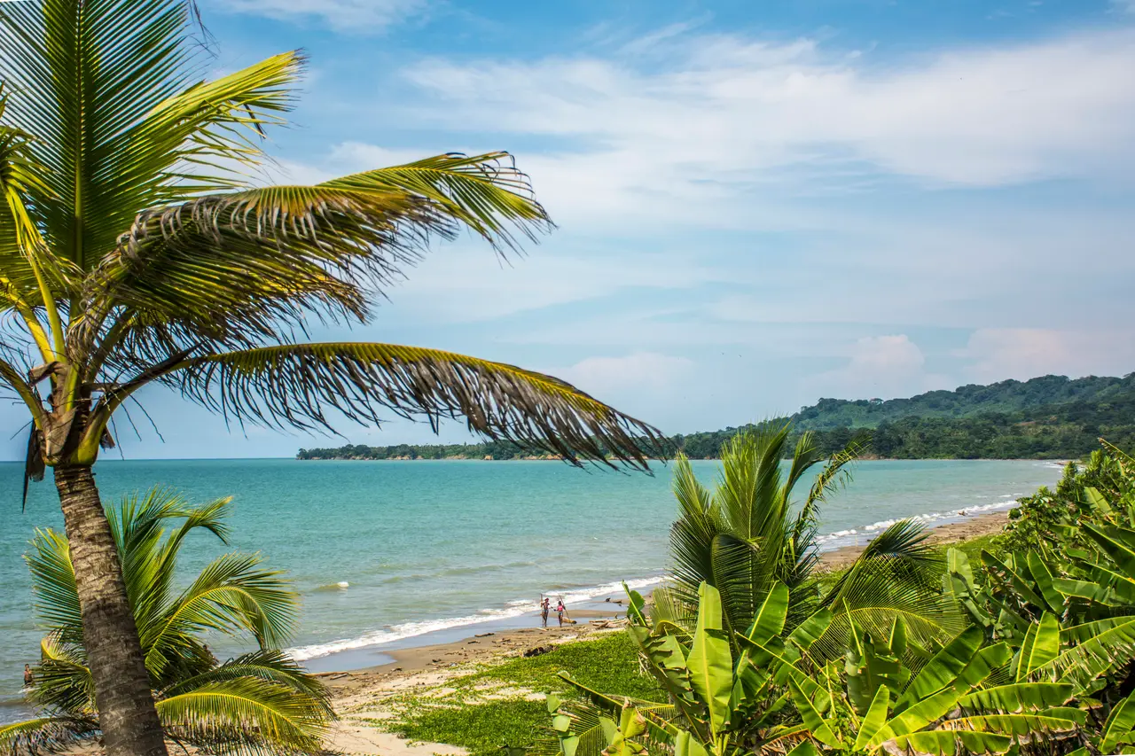 Costa de San Juan de Urabá: playa larga con palmeras, plataneras y el mar azul.